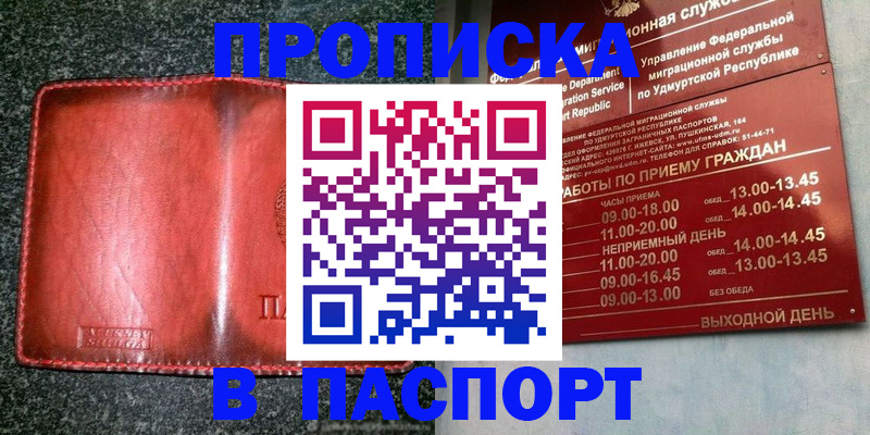 прописка поиск в Нижнекамске
